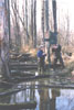 nest box over water